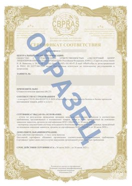 Образец Сертификат СТО 01.064.00220722.2-2020 Терней Сертификат СТО 01.064.00220722.2-2020 